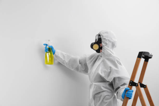 Professional Mold Inspection in Temple, GA